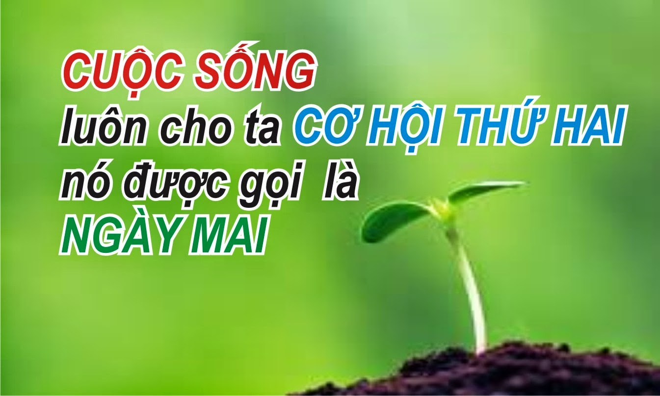 Các câu chuyện hay về cuộc sống